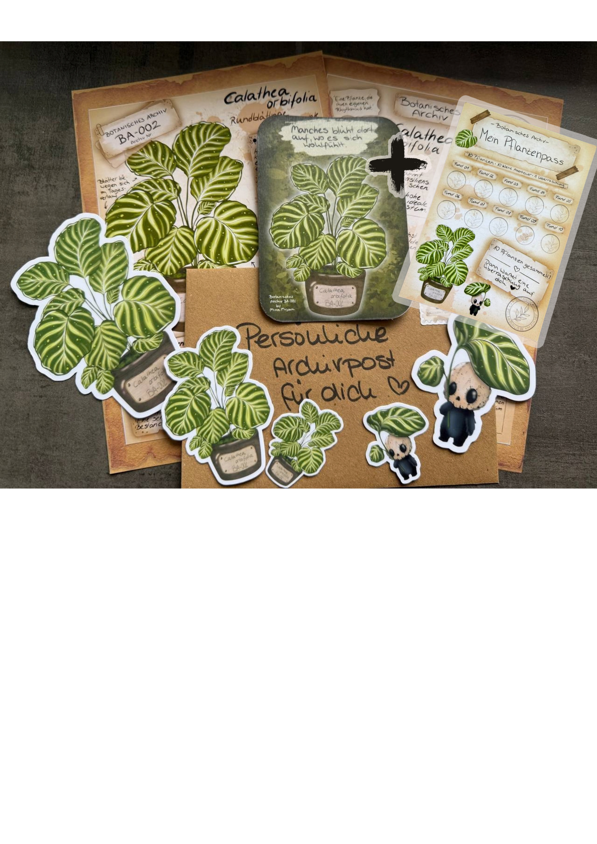 Blossom Mail – Botanisches Archiv | Ausgabe 002