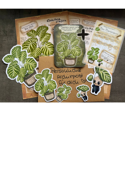 Blossom Mail – Botanisches Archiv | Ausgabe 002