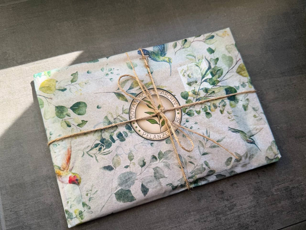Blossom Mail – Botanisches Archiv | Ausgabe 001