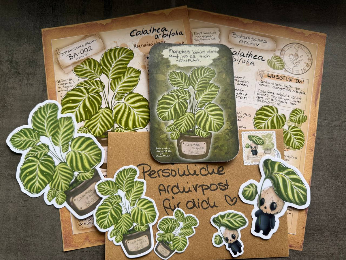 Blossom Mail – Botanisches Archiv | Ausgabe 002