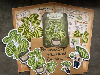 Blossom Mail – Botanisches Archiv | Ausgabe 002