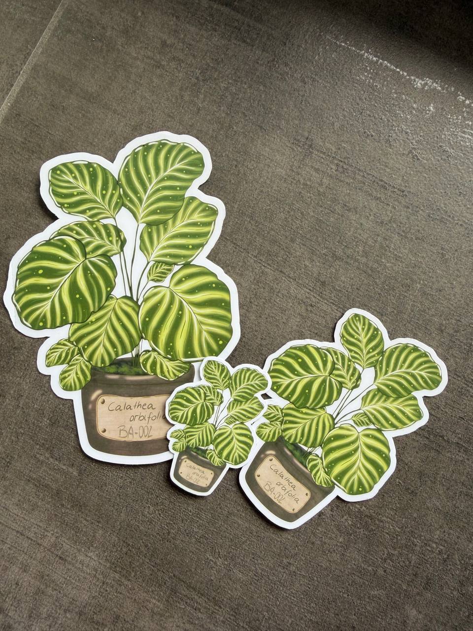 Blossom Mail – Botanisches Archiv | Ausgabe 002