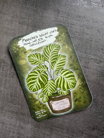 Blossom Mail – Botanisches Archiv | Ausgabe 002