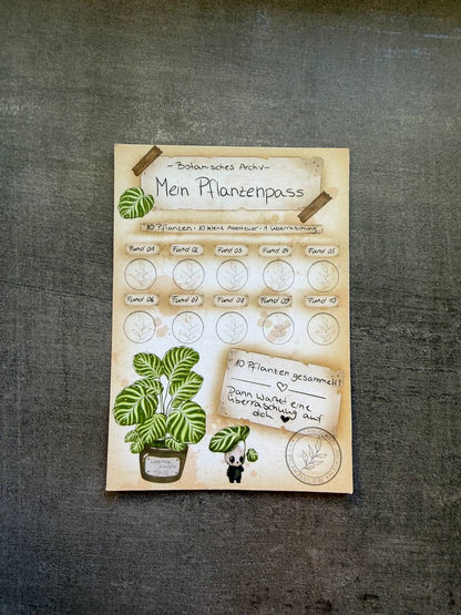 Blossom Mail – Botanisches Archiv | Ausgabe 002