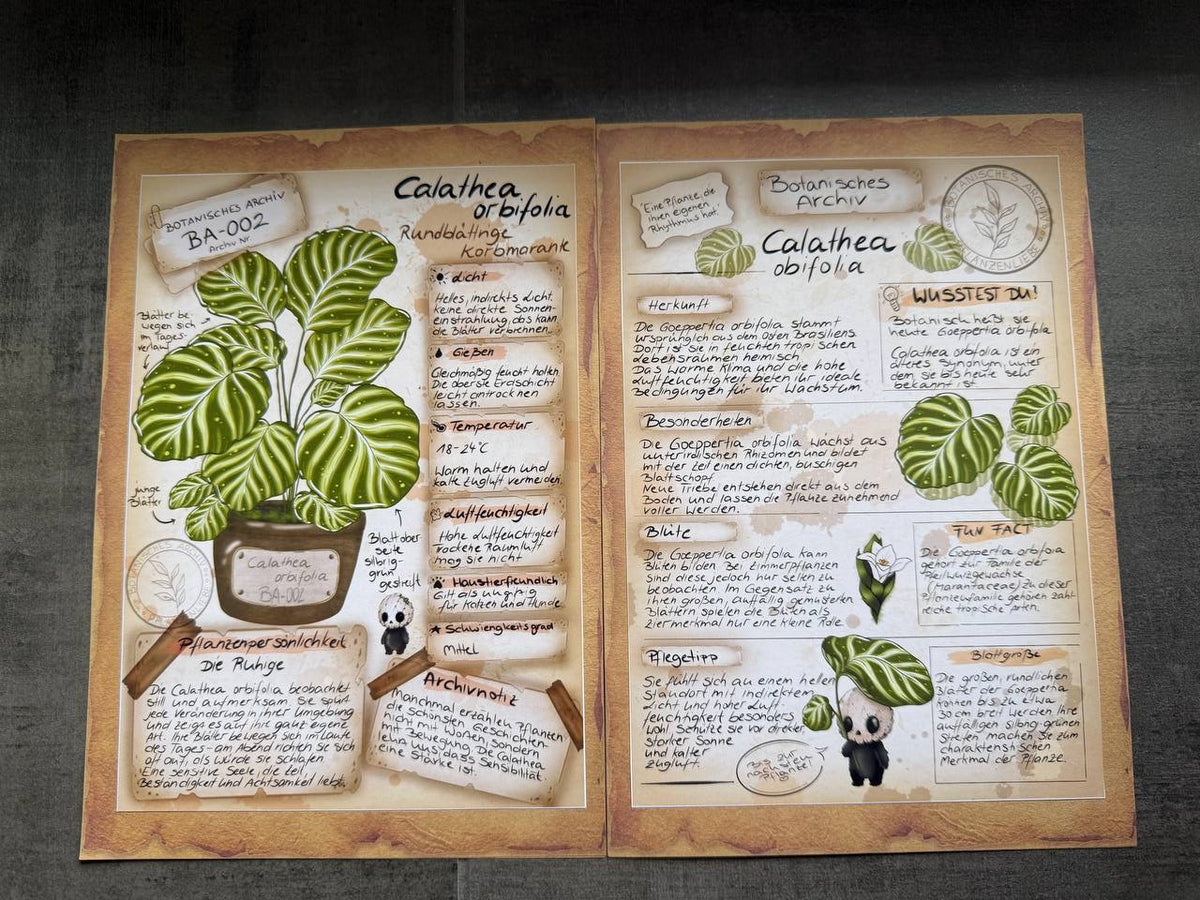 Blossom Mail – Botanisches Archiv | Ausgabe 002