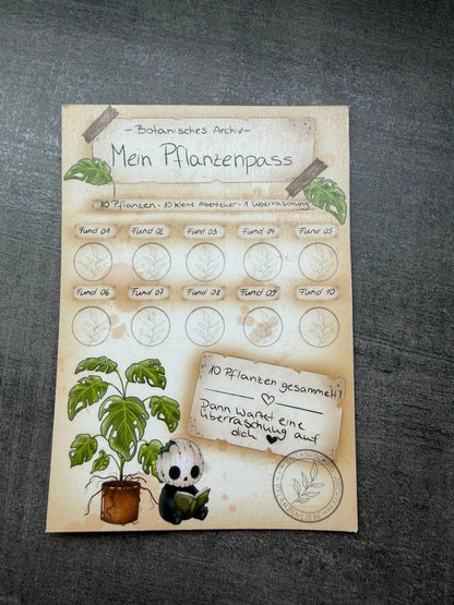 Blossom Mail – Botanisches Archiv | Ausgabe 001