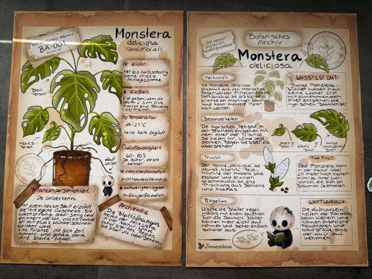 Blossom Mail – Botanisches Archiv | Ausgabe 001