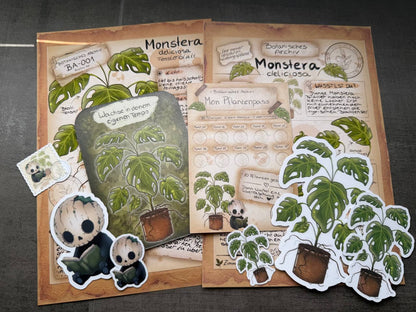 Blossom Mail – Botanisches Archiv | Ausgabe 001
